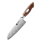Damascus Steel Chef's Knife | Natural Pattern | 110 Layer
