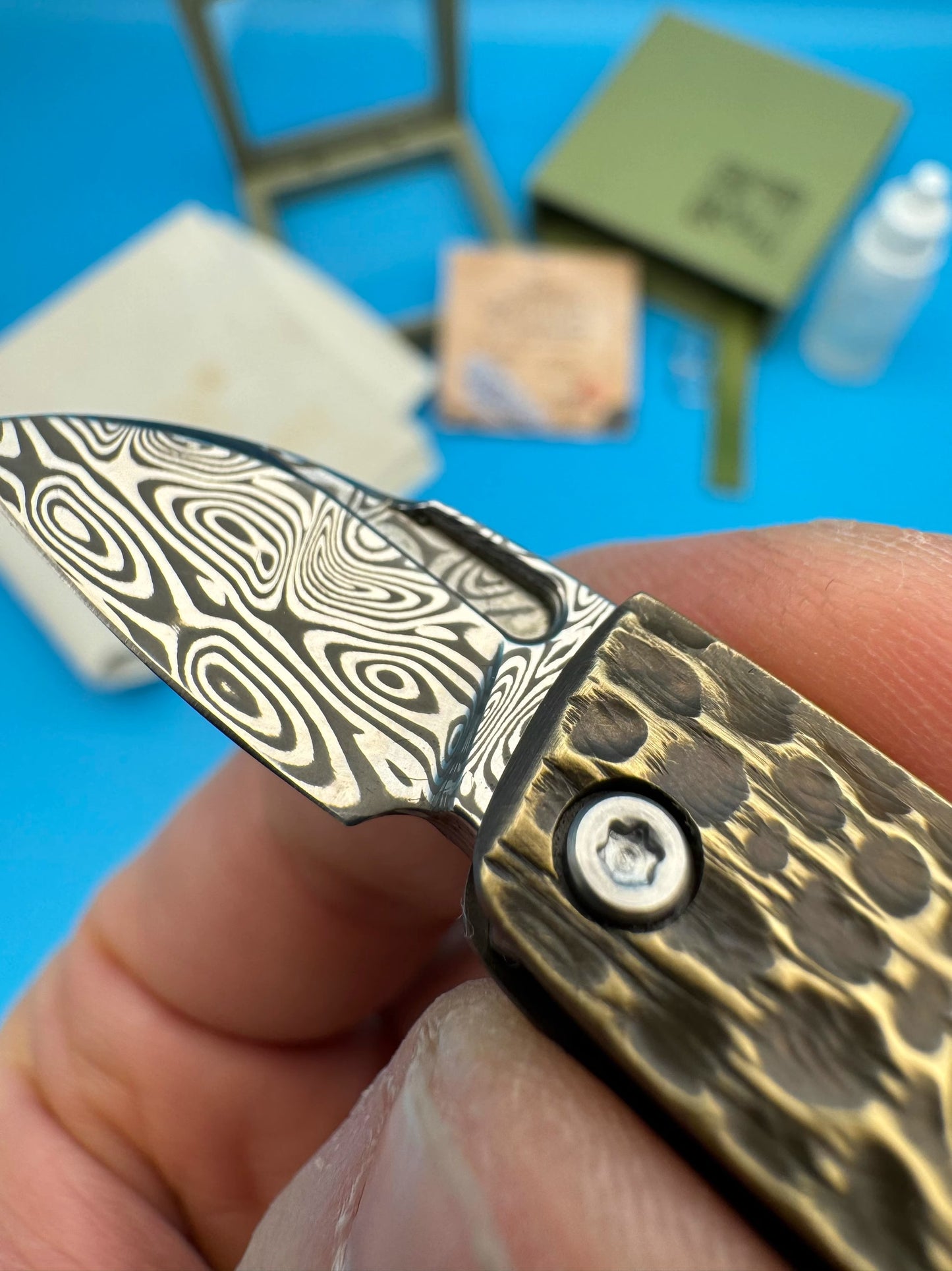 Pocket Knife | Swiss Powder Steel | Damascus Steel | Golden Cicada
