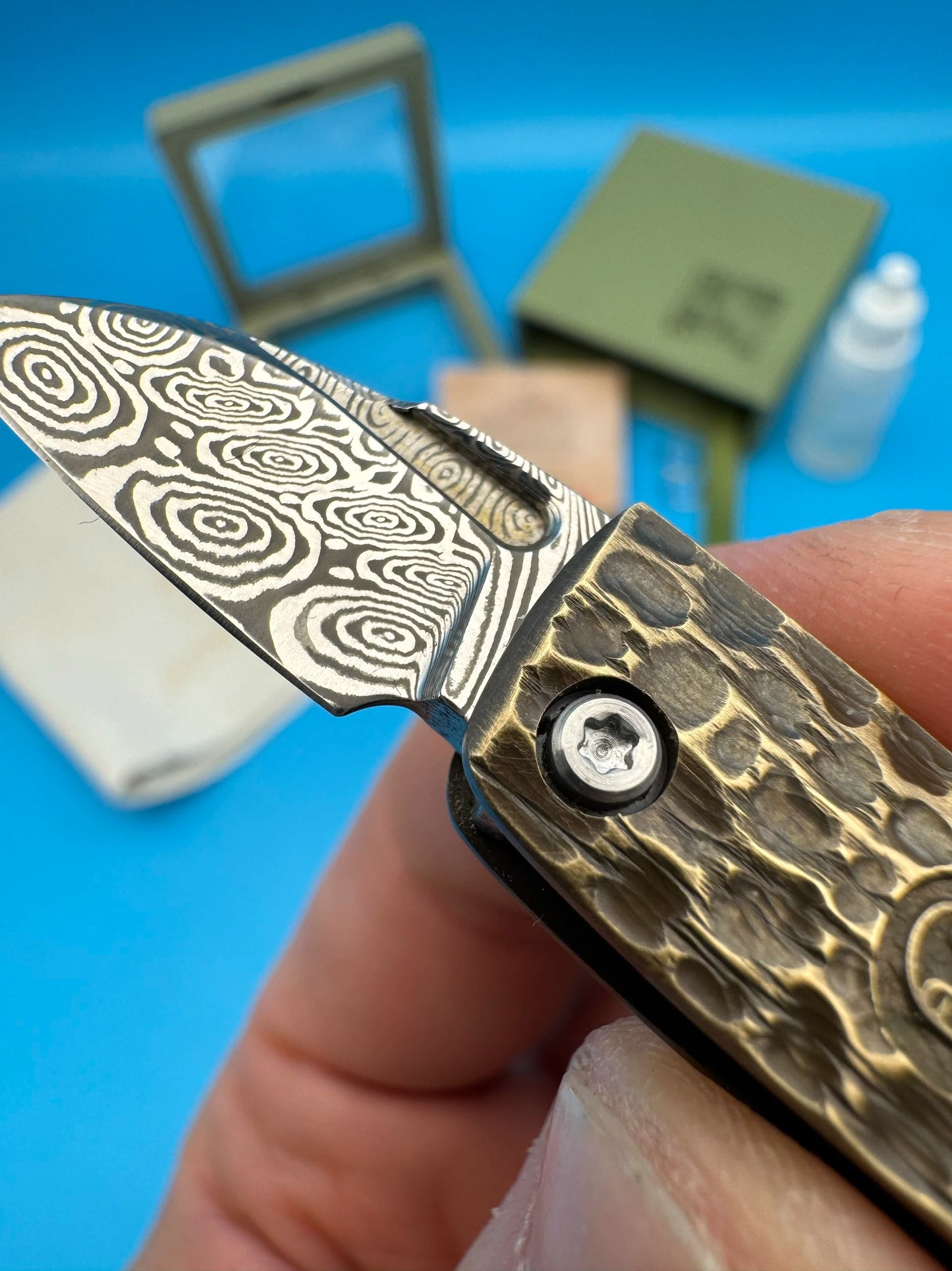 Pocket Knife | Swiss Powder Steel | Damascus Steel | Golden Cicada