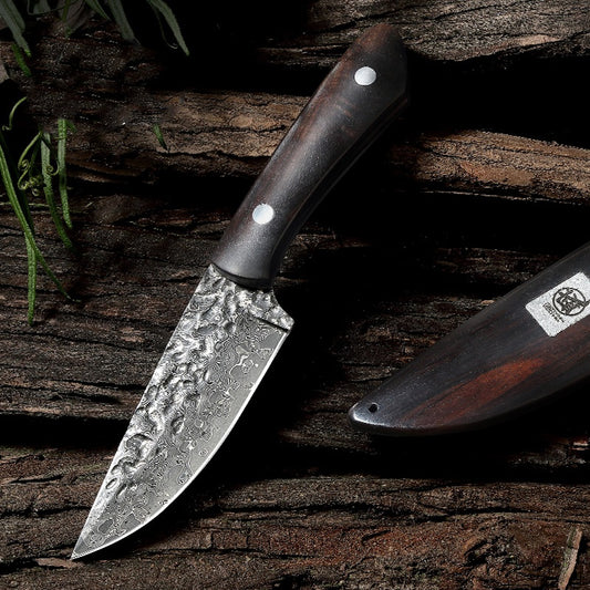 Portable Paring Knife Damascus Steel-Makino