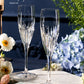 DA VINCI Cetona Champagne Flutes - Goglasscup