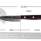 Damascus Paring Knife AUS-10 with Ebony Handle
