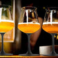 EISCH Frosted Black Rod Beer Glass - Goglasscup