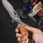 Damascus Steel Knife Outdoor Folding Knife- Flying Eagle