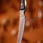 Damascus Steel 10'' Paring Knife VG10