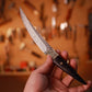 Damascus Steel 10'' Paring Knife VG10