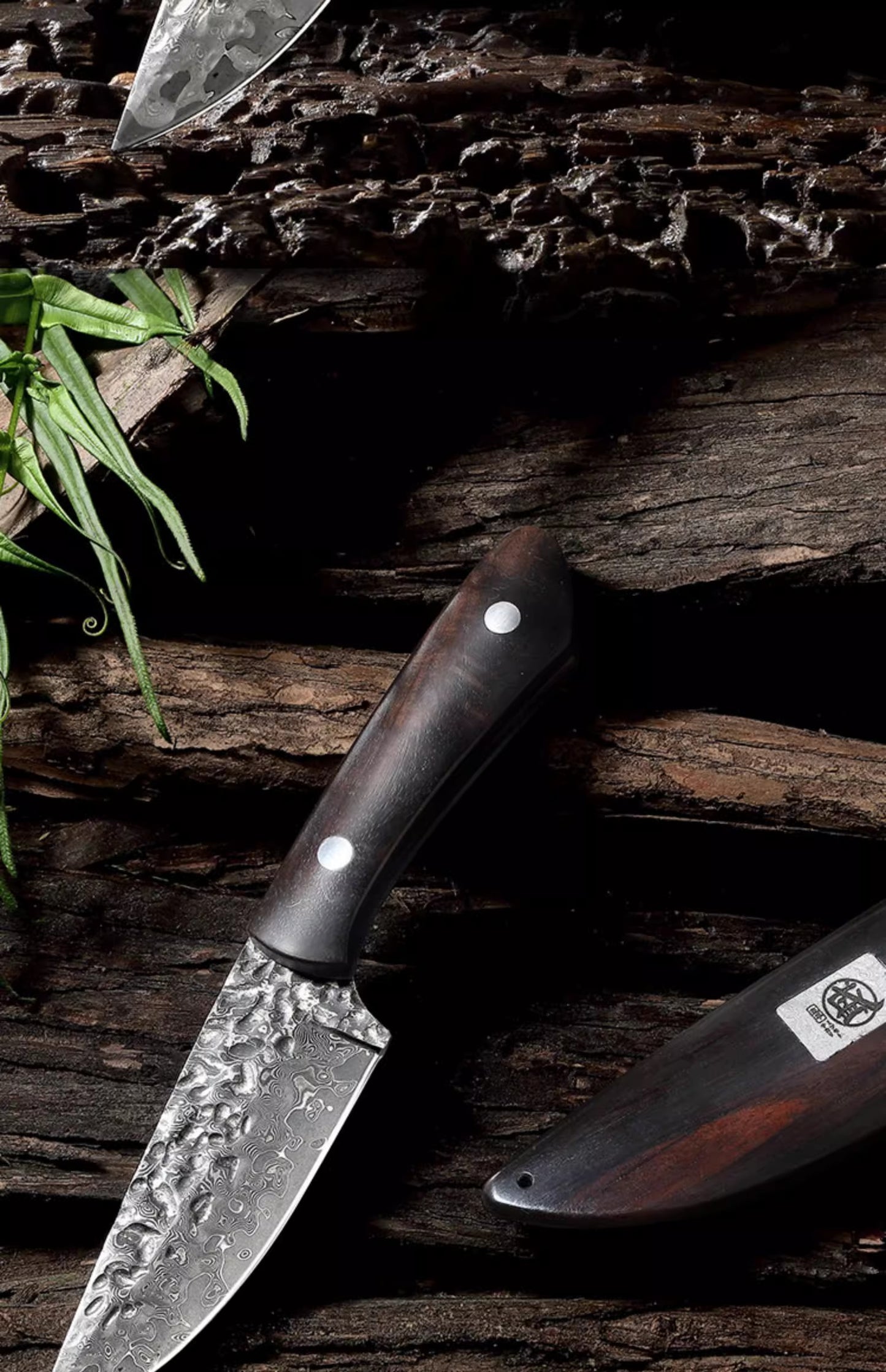 Portable Paring Knife Damascus Steel-Makino