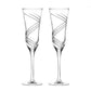 DAVINCI Vertigo Champagne Glasses - Goglasscup