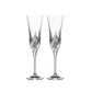 DA VINCI Cetona Champagne Flutes - Goglasscup