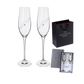 DARTINGTON Celebrate Crystal Goblet Champagne Glass - Goglasscup
